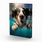 水中で泳ぐ興奮した犬のデザイン フォトブロック (右)