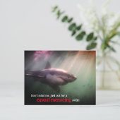 水中で白いカザメ シーズンポストカード (スタンド正面)