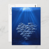 水中で魚が群がるハート ポストカード (正面/裏面)