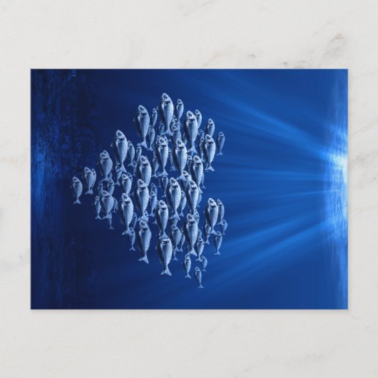 水中で魚が群がるハート ポストカード (正面)