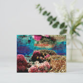 水中で ポストカード (スタンド正面)