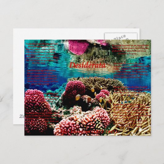 水中で ポストカード (正面/裏面)