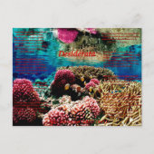 水中で ポストカード (正面)