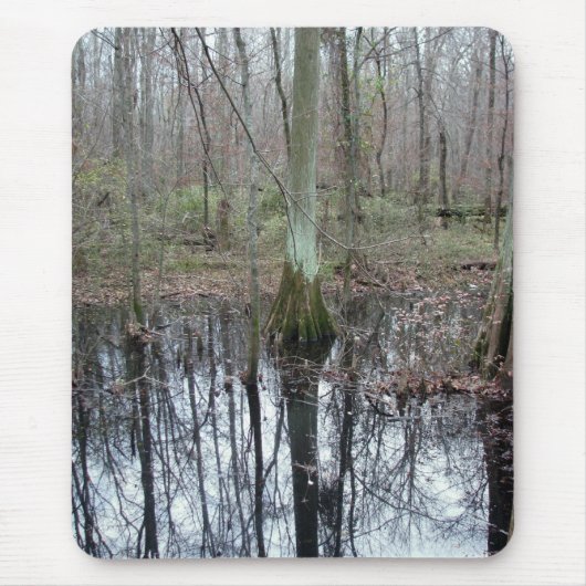 水中で マウスパッド (正面)