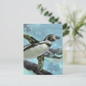 水中にペンギンを置く ポストカード (スタンド正面)