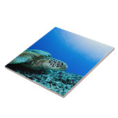 水中に休んでいるウミガメ タイル (側面)