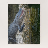 水中に反射する澄んダークワニ ジグソーパズル (縦)