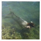 水中に泳いでいる人魚 タイル (正面)