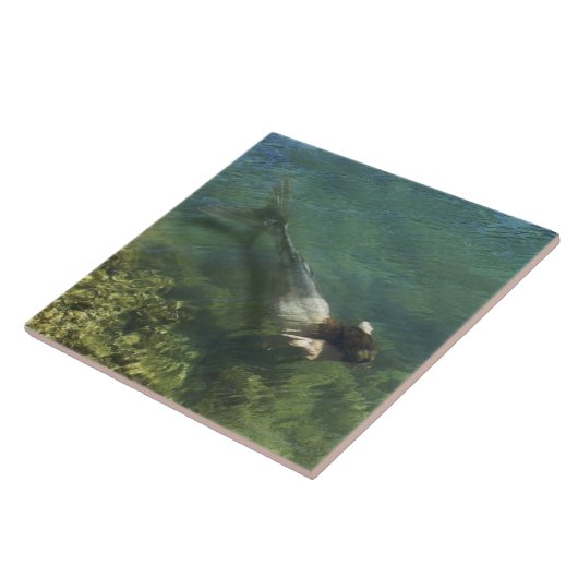 水中に泳いでいる人魚 タイル (側面)