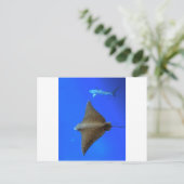 水中に点在する鷲のレイ&リーフシャーク ポストカード (スタンド正面)