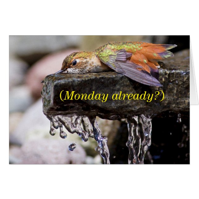 水中に産卵するハチドリ (正面横)