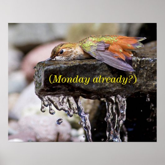 水中に産卵するハチドリ ポスター (正面)