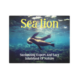 水中のアシカ メタルプリント