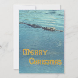水中のアリゲーターの写真 クリスマスのご挨拶 シーズンカード