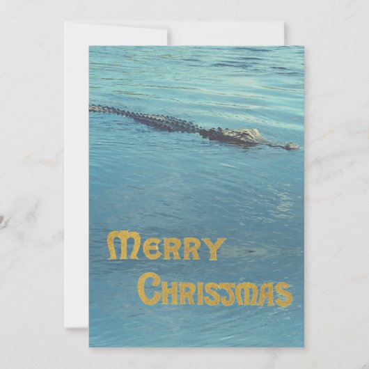 水中のアリゲーターの写真 クリスマスのご挨拶 シーズンカード (正面)