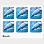 水中のイルカ スクエアシール (シート)