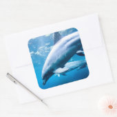 水中のイルカ スクエアシール (封筒)