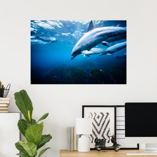 水中のイルカ ポスター (ホームオフィス)