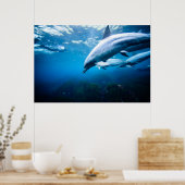 水中のイルカ ポスター (キッチン)