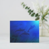 水中のイルカ ポストカード (スタンド正面)