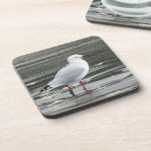 水中のカモメ コースター (左側)