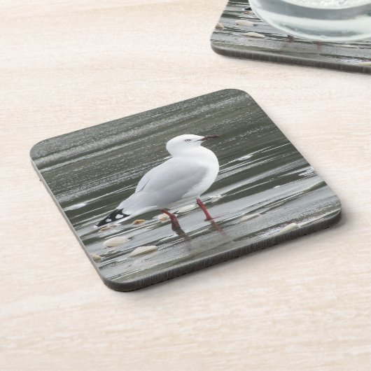 水中のカモメ コースター (左側)