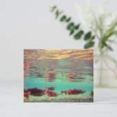 水中のサケ ポストカード (スタンド正面)