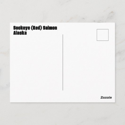 水中のサケ ポストカード (裏面)