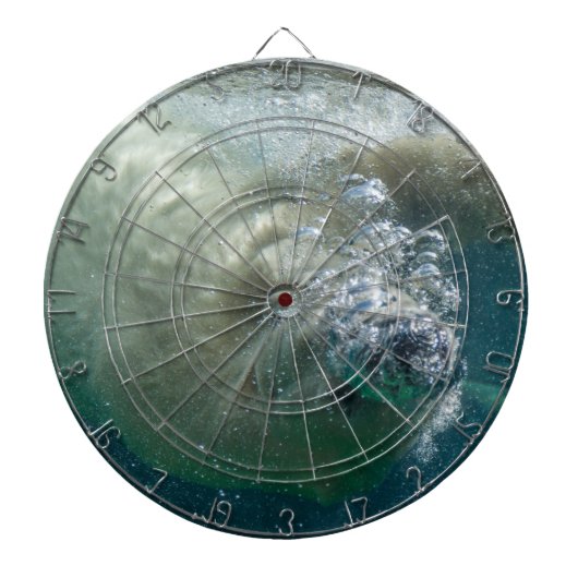 水中のシロクマ ダーツボード (正面)