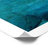 水中のシロクマ ポスター (角)