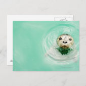 水中のシールポートレート ポストカード (正面/裏面)