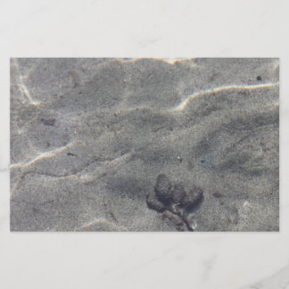 水中のピネコン