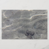 水中のピネコン (正面)