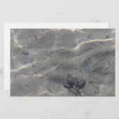 水中のピネコン (正面/裏面)