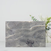 水中のピネコン (スタンド正面)