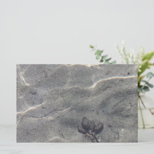 水中のピネコン (スタンド正面)