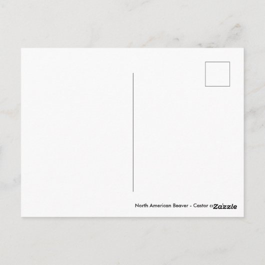 水中の北米ビーバー ポストカード (裏面)