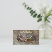 水中の岩の上にかわいいカエル 名刺 (スタンド正面)