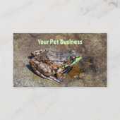 水中の岩の上にかわいいカエル 名刺 (正面)