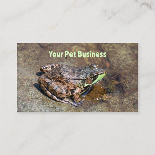 水中の岩の上にかわいいカエル 名刺 (正面)