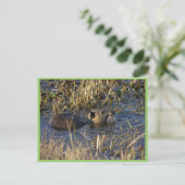 水中の栄養素 ポストカード (スタンド正面)