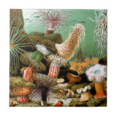 水中の海のアネモネ タイル (正面)