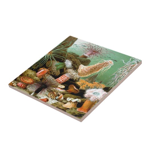 水中の海のアネモネ タイル (側面)