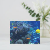 水中の海の世界と夏の物語 ポストカード (スタンド正面)