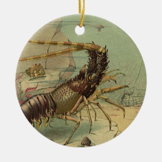 水中の海の生き物 ショウガエビ、ヴィンテージの海洋動物 セラミックオーナメント (正面)