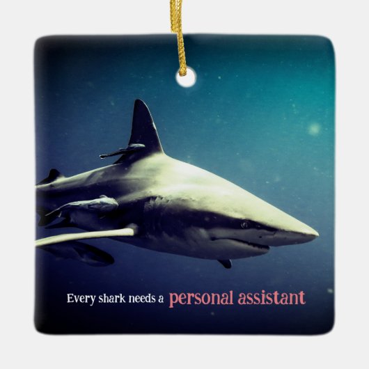 水中の海洋ブラックチップサメ セラミックオーナメント (正面)