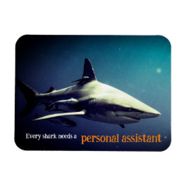 水中の海洋ブラックチップサメ マグネット