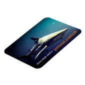 水中の海洋ブラックチップサメ マグネット (左側)