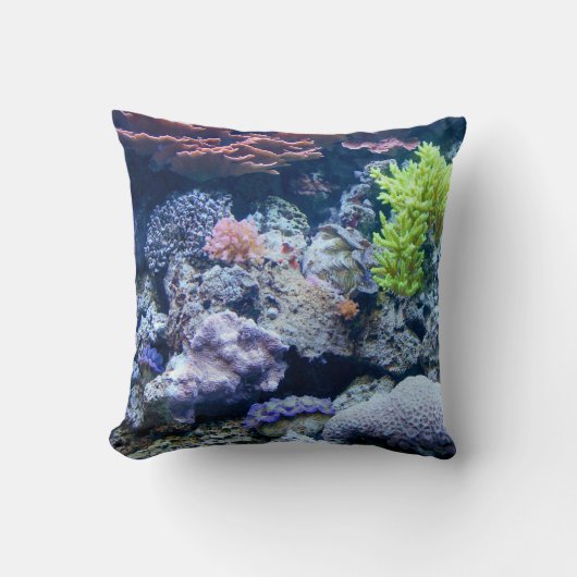 水中の海、海実在画 クッション (正面)