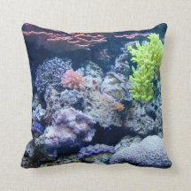 水中の海、海実在画